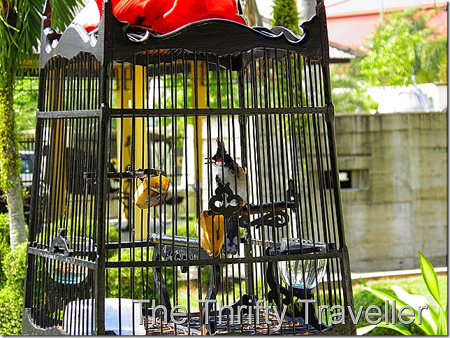 Bird Cage at the War Museum