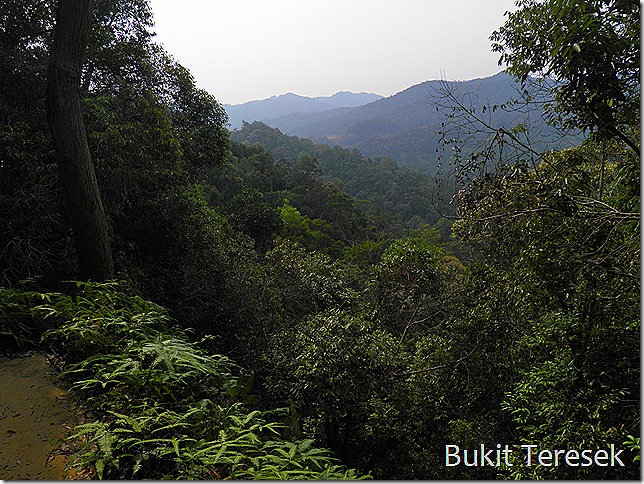 View from Bukit Teresek
