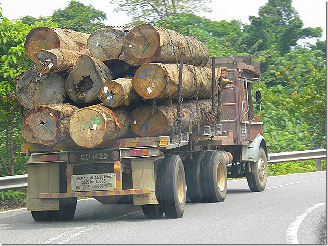 Logging in Pahang