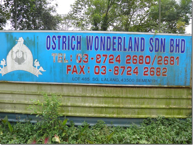 Ostrich Wonderland Address