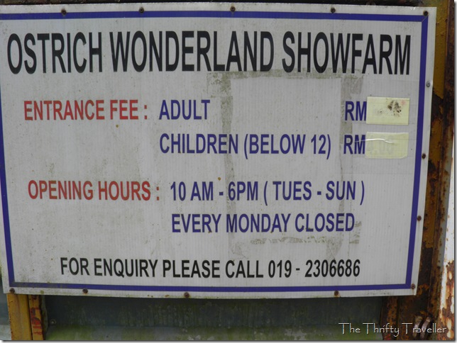 Ostrich Wonderland Opening Hours and Contact