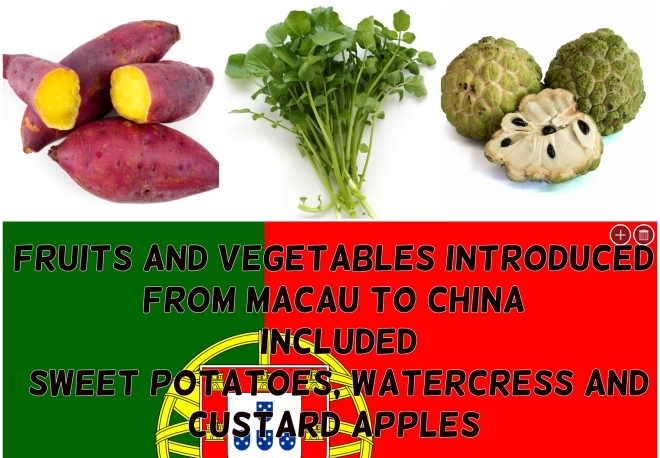 Fruit and vegetables introduced from Macau to China
