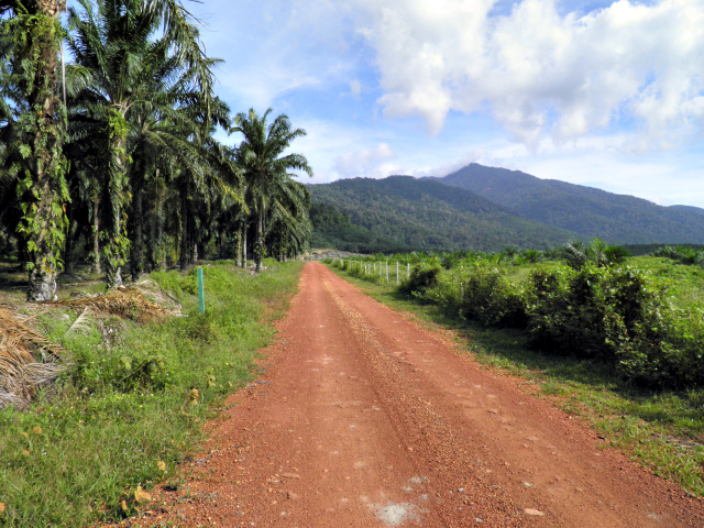 Road to Gunung Ledang