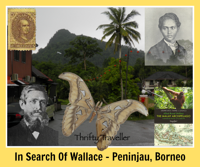 In-Search-Of-Wallace-Peninjau-Borneo