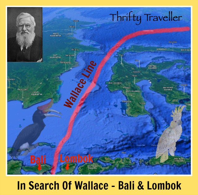 in-search-of-wallace-bali-lombok